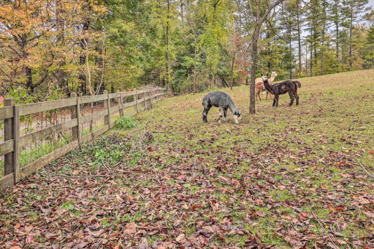 Rustic Hendersonville Farm Studio With Private Deck المظهر الخارجي الصورة
