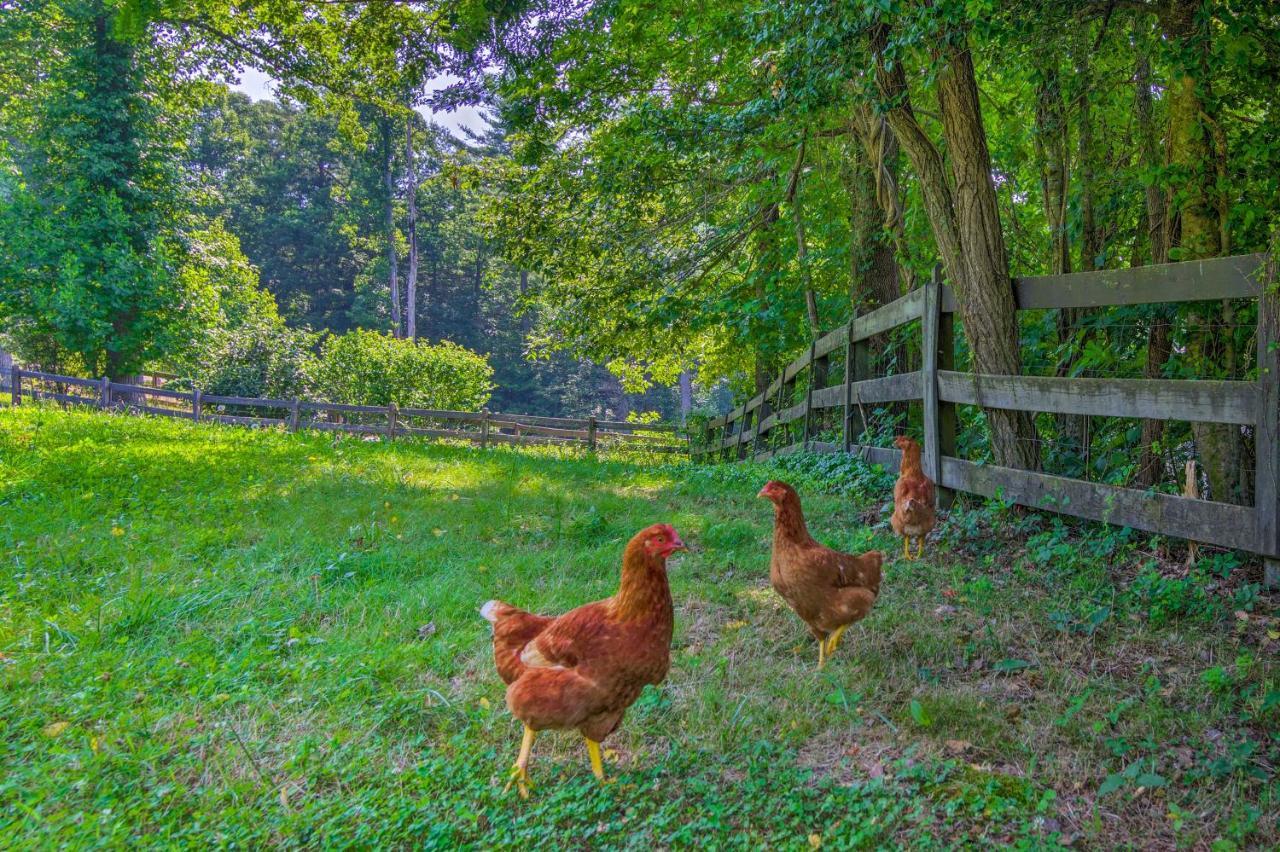 Rustic Hendersonville Farm Studio With Private Deck المظهر الخارجي الصورة