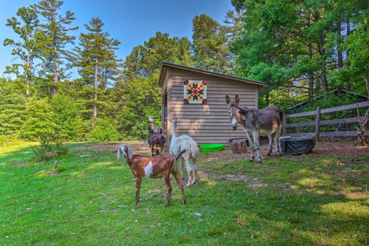 Rustic Hendersonville Farm Studio With Private Deck المظهر الخارجي الصورة